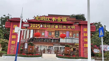 光明红木古镇第 2 张图片