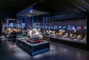 中国古动物馆(保定自然博物馆)