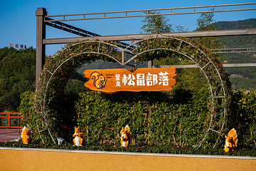 聚龙松果部落第 31 张图片