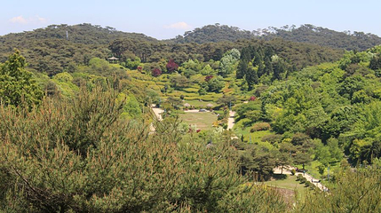 八排山第 1 张图片