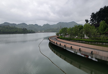 新蒲湿地公园第 37 张图片
