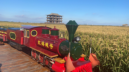 红海滩国家风景廊道第 89 张图片
