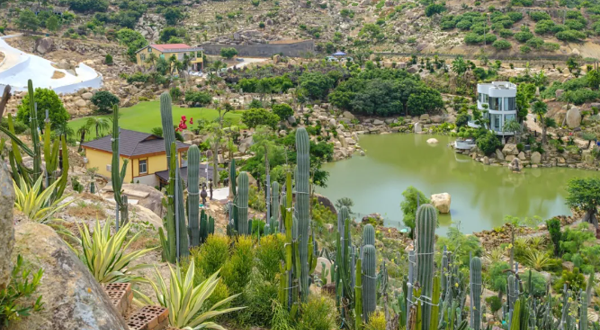 福建石岩植物园