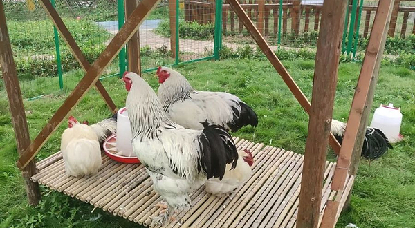 香蜗蜗自然乐园