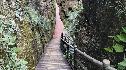 龙虎山风景名胜区第 204 张图片