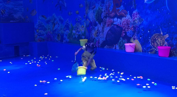 欢乐童魔方赶海乐园