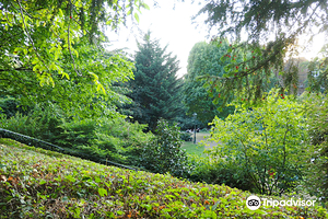 布鲁塞尔森林公园