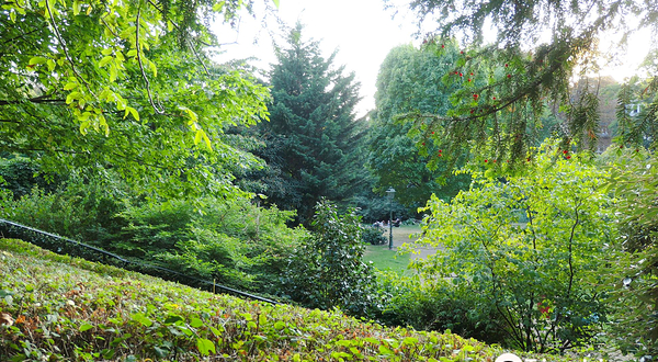 布鲁塞尔森林公园