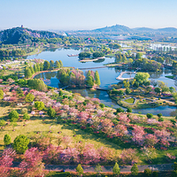 上海辰山植物园