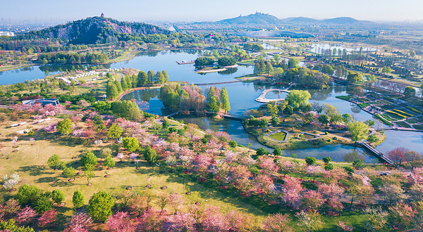 上海辰山植物园