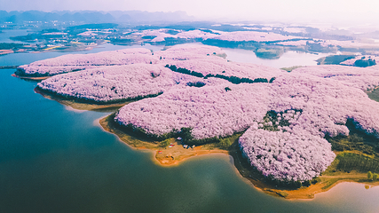 平坝农场第 2 张图片
