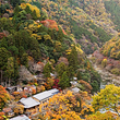 嵯峨野