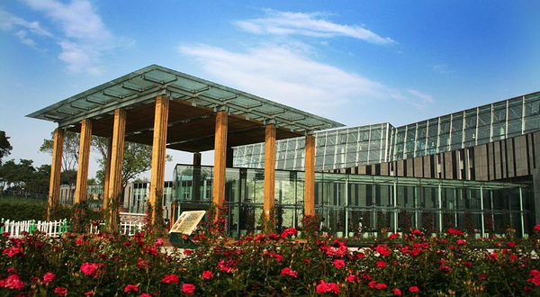 沈阳植物园-玫瑰园