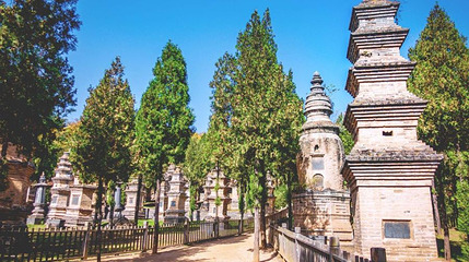 嵩山少林景区-塔林第 1 张图片
