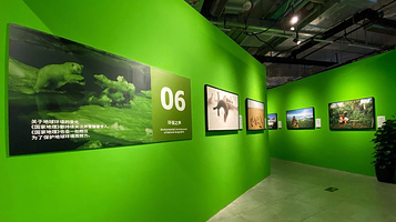 完整版国家地理经典影像大展