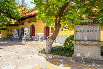 白鹭洲鹫峰寺第 1 张图片