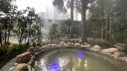 奥林温泉第 20 张图片