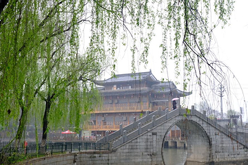 古后河绿廊第 12 张图片