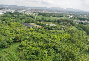 白鹭湖生态保护区