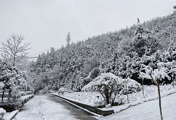 古孝感乡都生态旅游度假村第 31 张图片