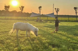 稻田理想萌宠生活村