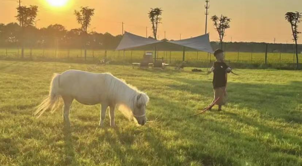 稻田理想萌宠生活村