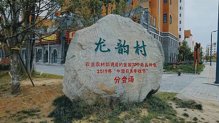 龙韵村第 10 张图片
