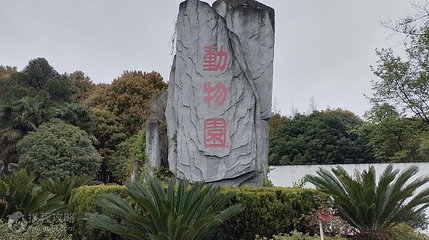 安顺动物园第 3 张图片
