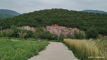 石景山区炮山城市森林公园