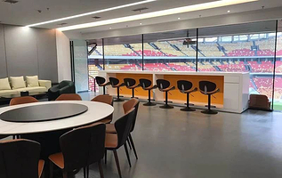 重庆龙兴专业足球场