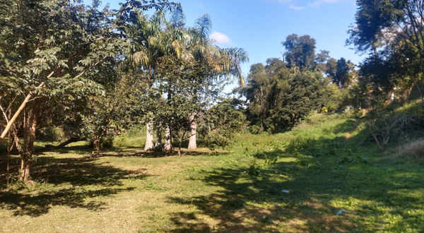 Jardim Botânico de Nogueira