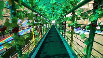 庐山·鄱湖湾魔幻森林