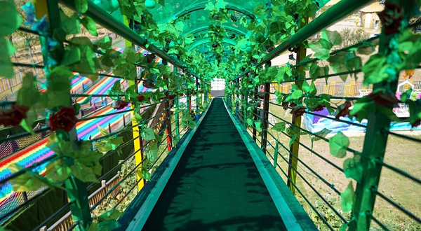 庐山·鄱湖湾魔幻森林