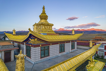 塔公草原第 44 张图片