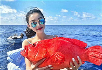 三亚海钓海豚游艇俱乐部第 14 张图片