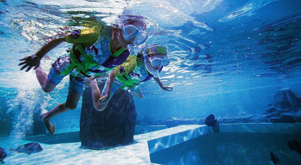 亚高PADI潜水度假村