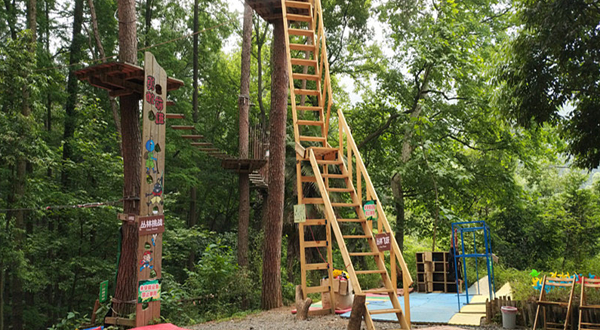 大奇山疯狂蚂蚁冒险森林乐园