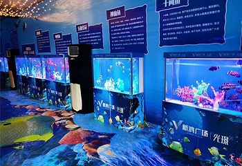 振兴小镇第 29 张图片