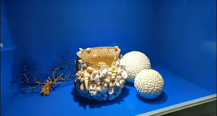 亚龙湾滨海世界第 47 张图片