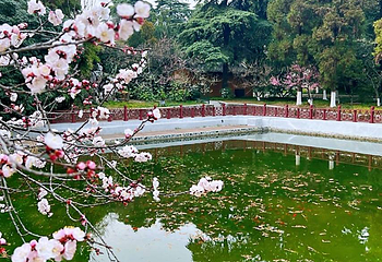 雨花台第 12 张图片