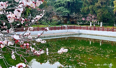 雨花台风景名胜区-梅岗第 1 张图片