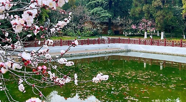 雨花台风景名胜区-梅岗