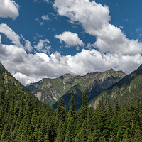 王朗国家级自然保护区