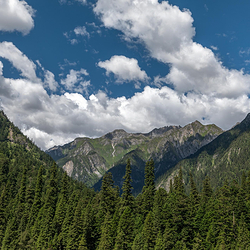 王朗国家级自然保护区