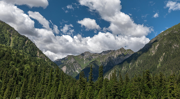 王朗国家级自然保护区