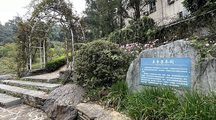 月季康养园第 1 张图片