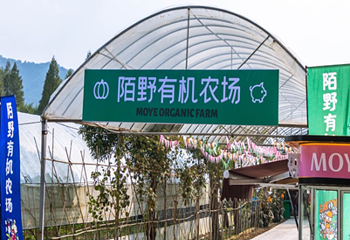 莫干山陌野农场第 9 张图片