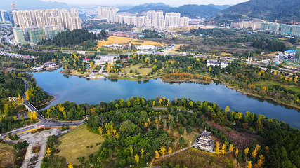 新蒲湿地公园第 5 张图片