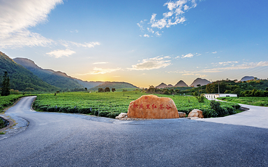 积庆里红茶谷第 19 张图片