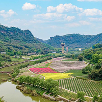 清溪谷旅游区•花田酒地景区